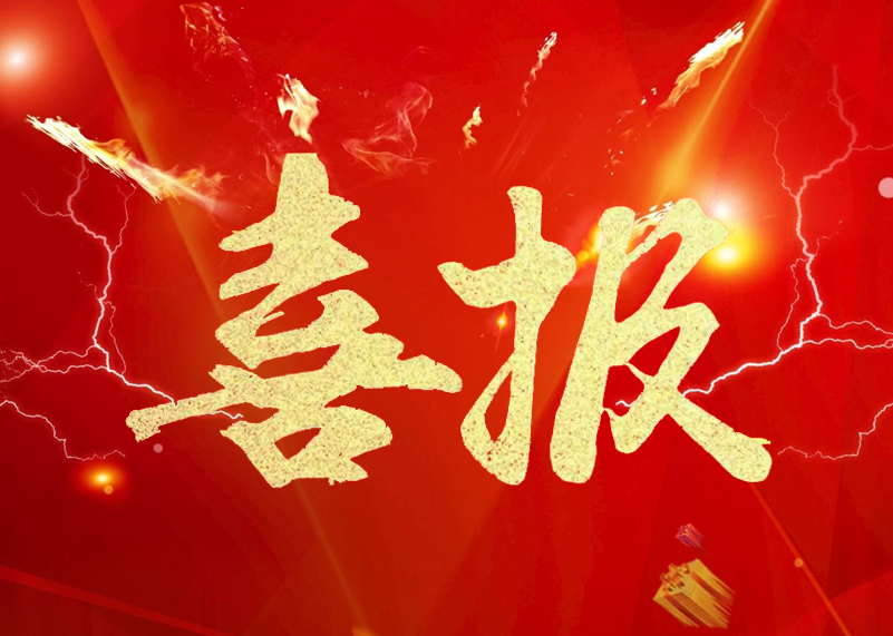 贝博艾佛森显示再获行业殊荣